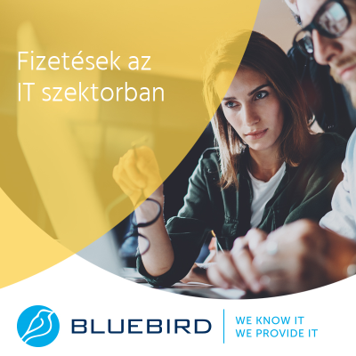 Fizetések az IT szektorban - Bluebird