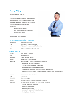 Önéletrajz készítése - business analyst - Bluebird