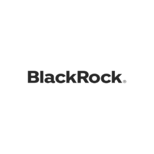 BlackRock Hungary Kft. logoj