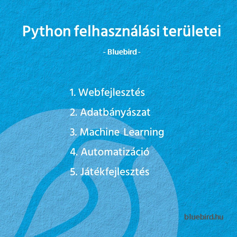 Python felhasználási területei - Bluebird blog