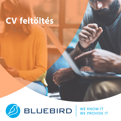 CV feltöltés - Bluebird